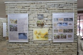 Ловеч - галерия - реставрация - изложба