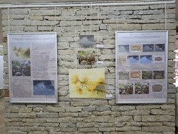 Ловеч - галерия - реставрация - изложба