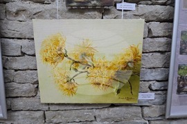 Ловеч - галерия - реставрация - изложба