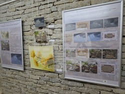 Ловеч - галерия - реставрация - изложба