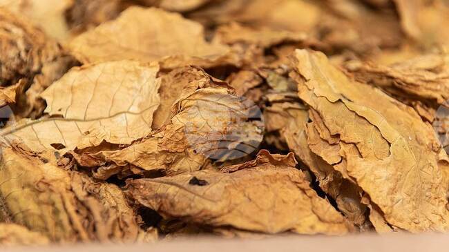 Националната асоциация на тютюнопроизводителите - 2010 настоява за провеждане на предварителна работна среща и последващ Консултативен съвет