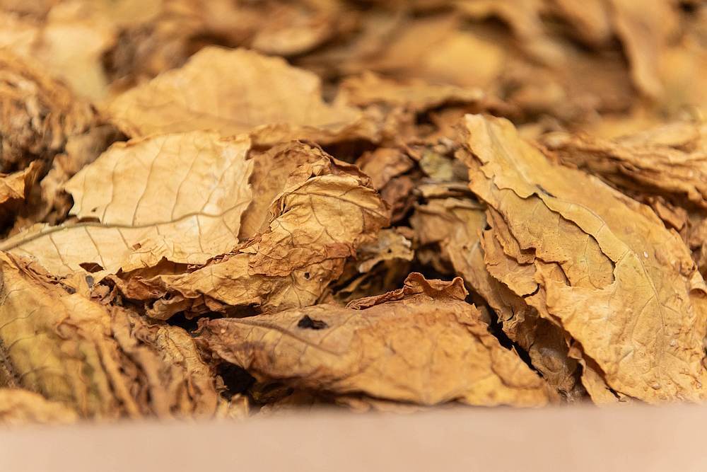 Националната асоциация на тютюнопроизводителите - 2010 настоява за провеждане на предварителна работна среща и последващ Консултативен съвет