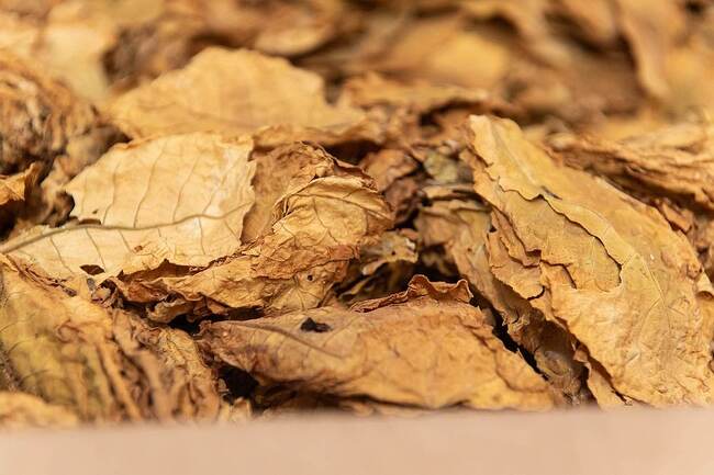 Националната асоциация на тютюнопроизводителите - 2010 настоява за провеждане на предварителна работна среща и последващ Консултативен съвет