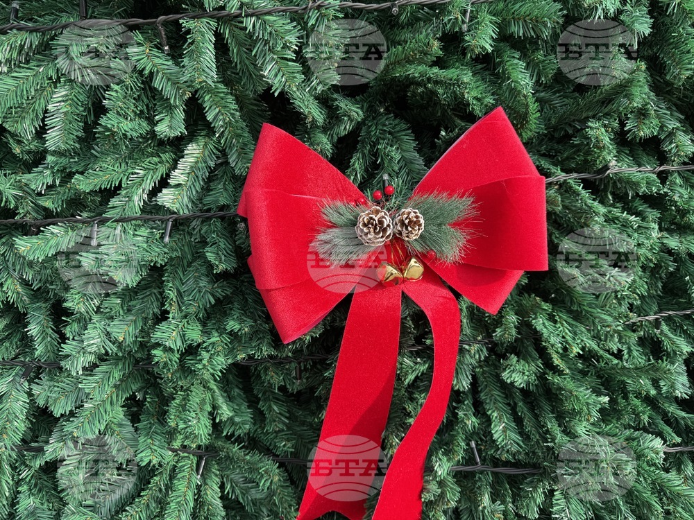 Ученици от Българското неделно училище „Българче“ в Украйна изработваха коледна украса