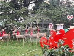 Ямбол - коледна украса пред сградата на Община Тунджа