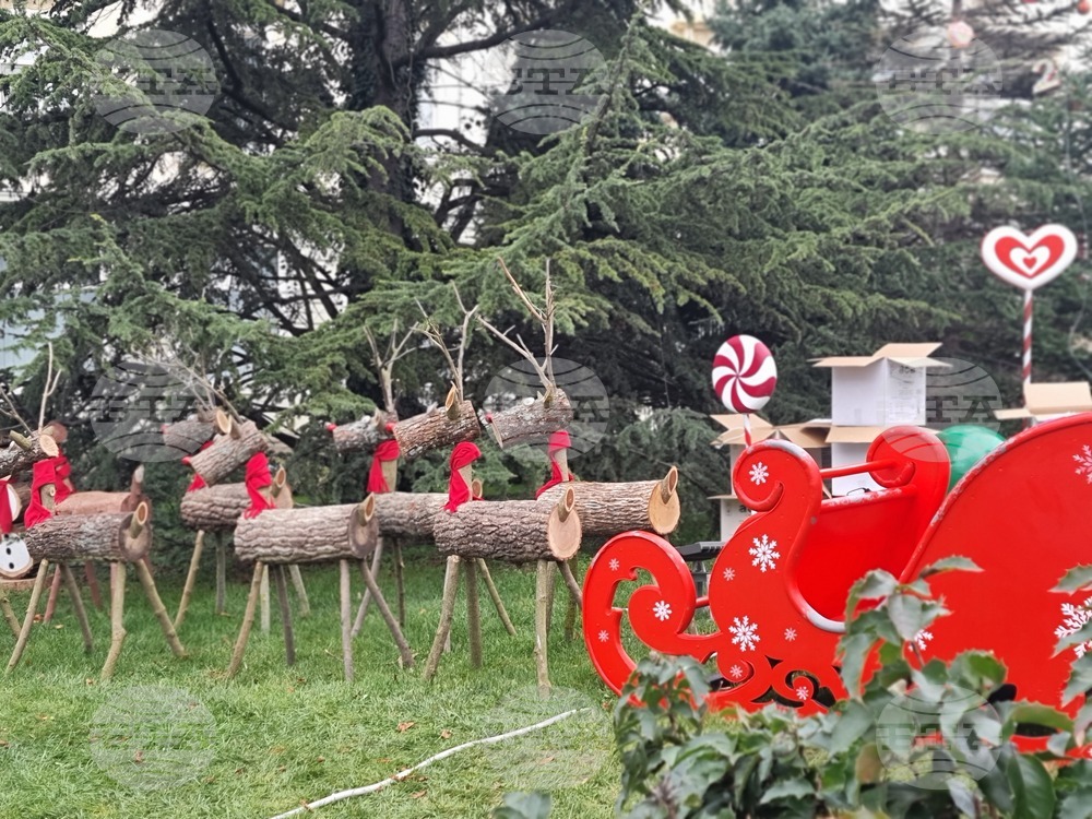 Ямбол - коледна украса пред сградата на Община Тунджа