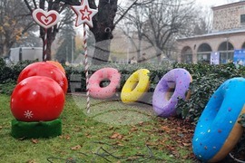 Ямбол - коледна украса пред сградата на Община Тунджа