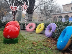 Ямбол - коледна украса пред сградата на Община Тунджа