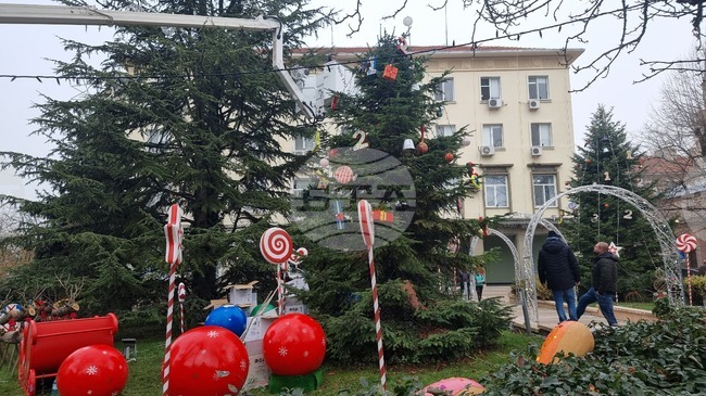 Светлините на коледната елха и празничната украса пред сградата на Община Тунджа в Ямбол грейват на 8 декември