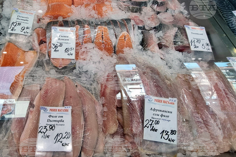 Дупница - Никулден - риба