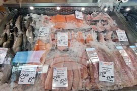 Дупница - Никулден - риба