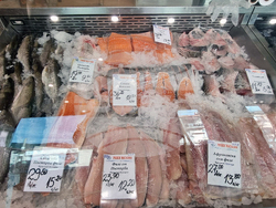 Дупница - Никулден - риба