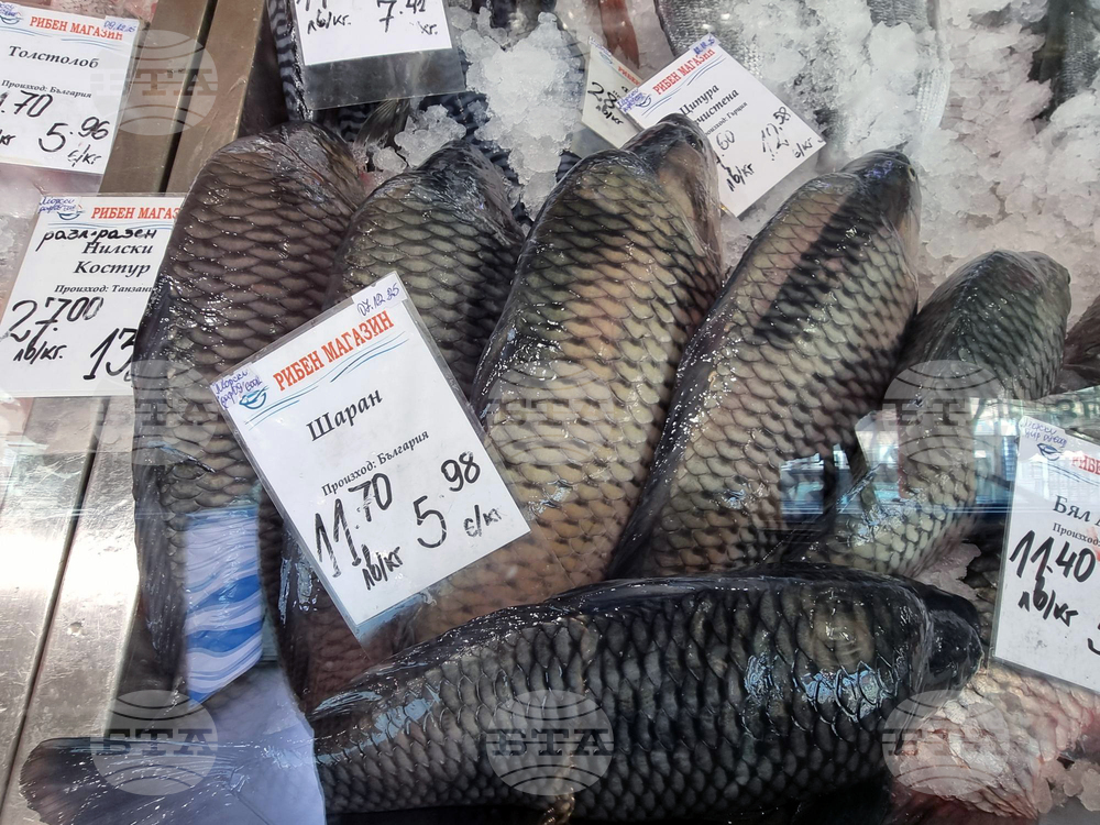 Дупница - Никулден - риба