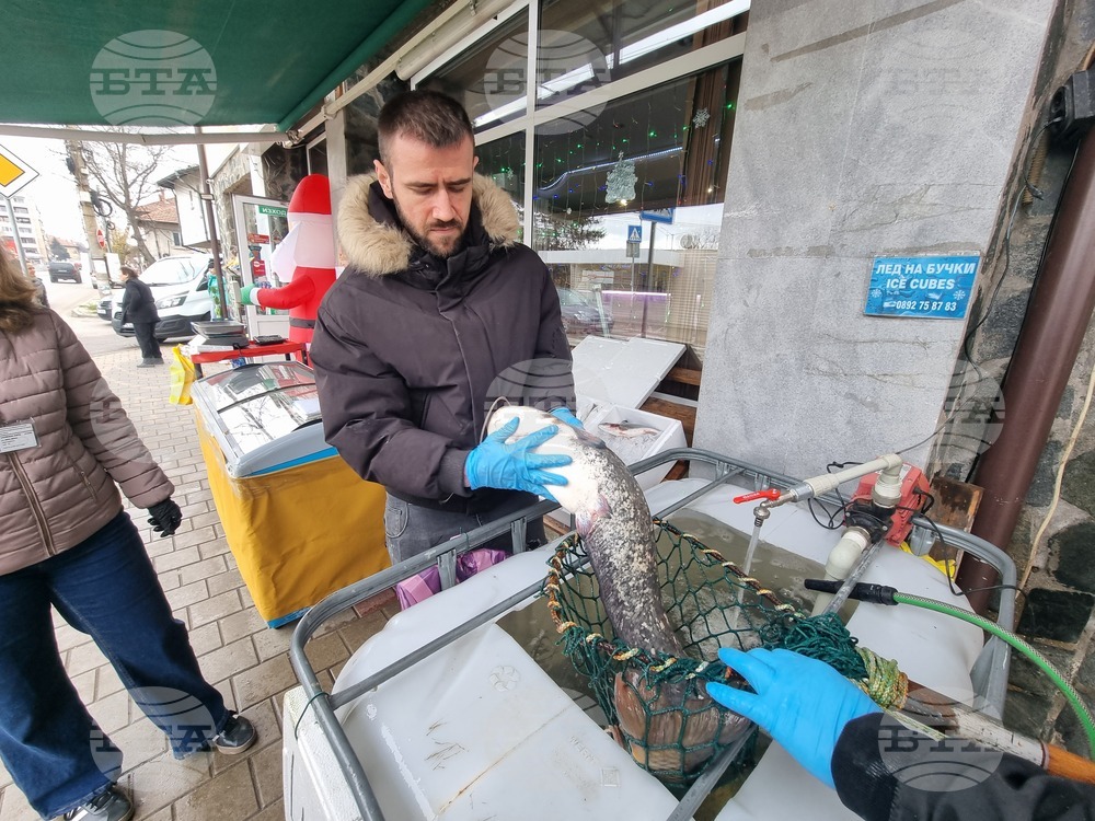Съвместна проверка в обект за продажба на риба в Перник направиха представители на ОДБХ и ИАРА 
