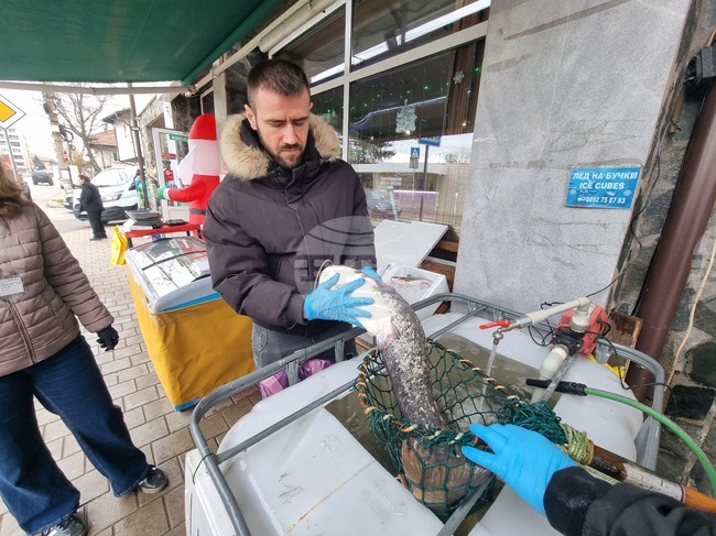 Съвместна проверка в обект за продажба на риба в Перник направиха представители на ОДБХ и ИАРА 