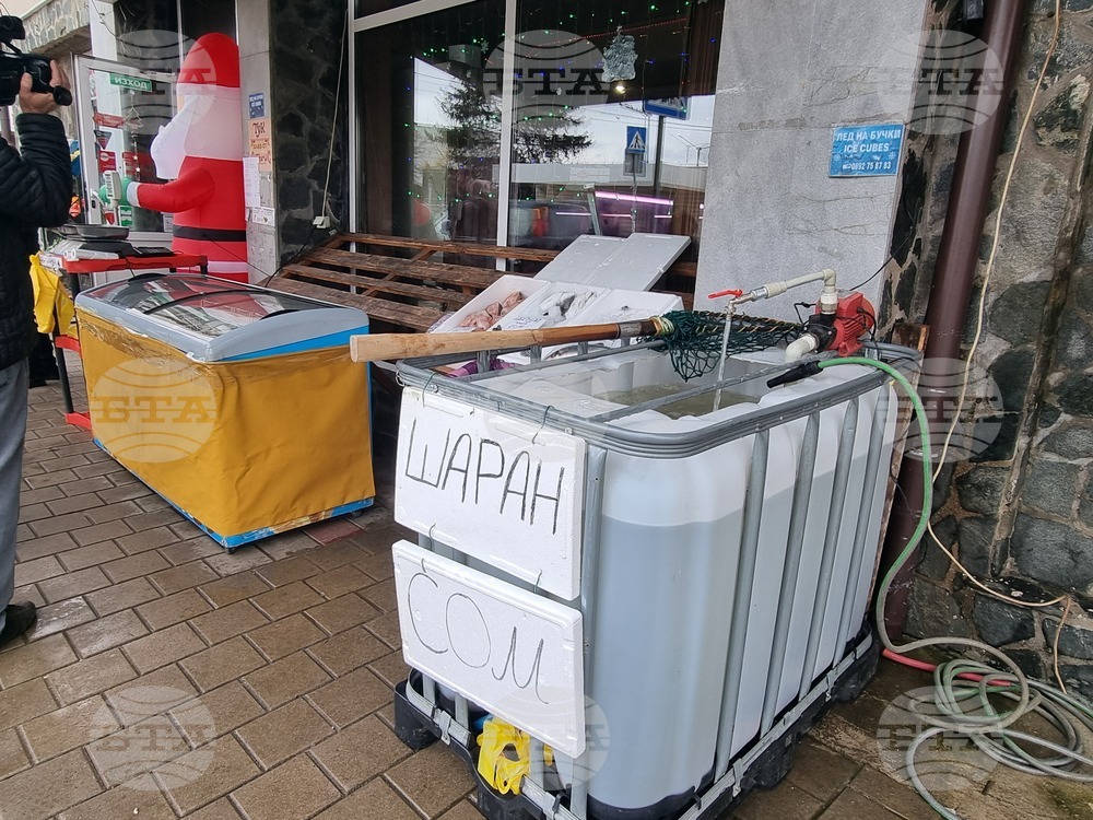 Перник - продажба на риба - проверки