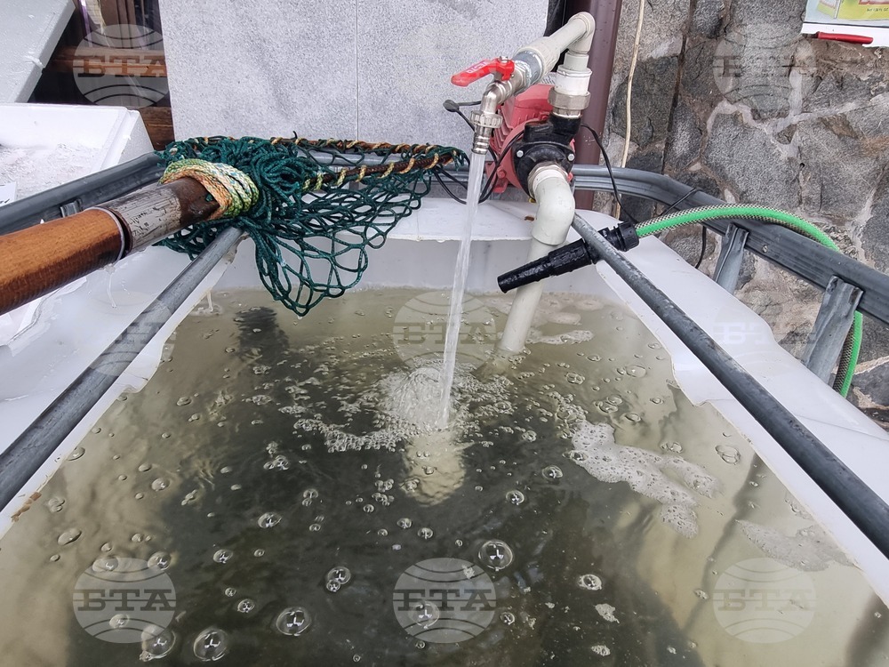 Перник - продажба на риба - проверки