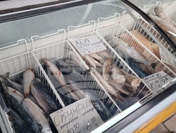 Перник - продажба на риба - проверки