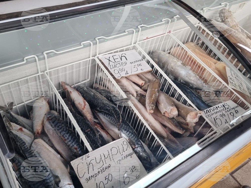 Перник - продажба на риба - проверки