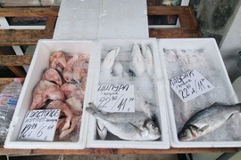 Перник - продажба на риба - проверки