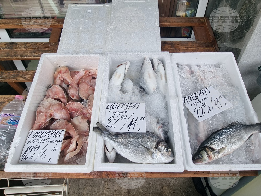 Перник - продажба на риба - проверки