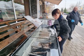 Перник - продажба на риба - проверки