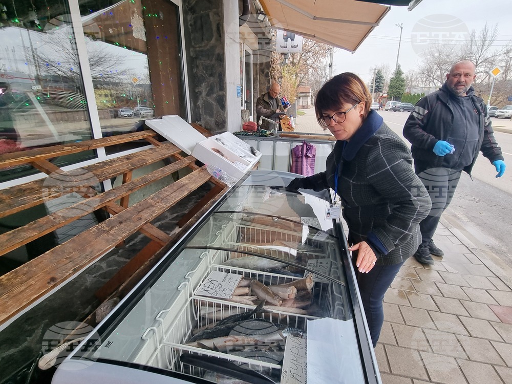 Перник - продажба на риба - проверки