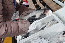 Перник - продажба на риба - проверки