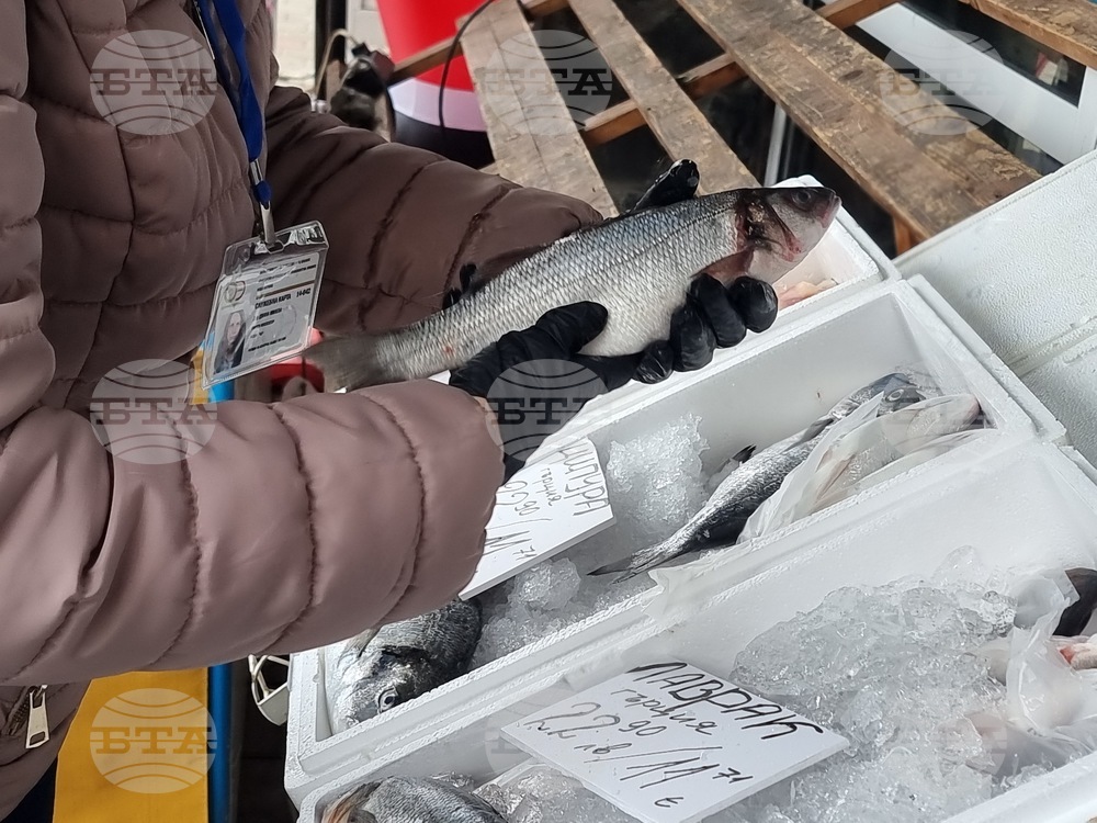 Перник - продажба на риба - проверки