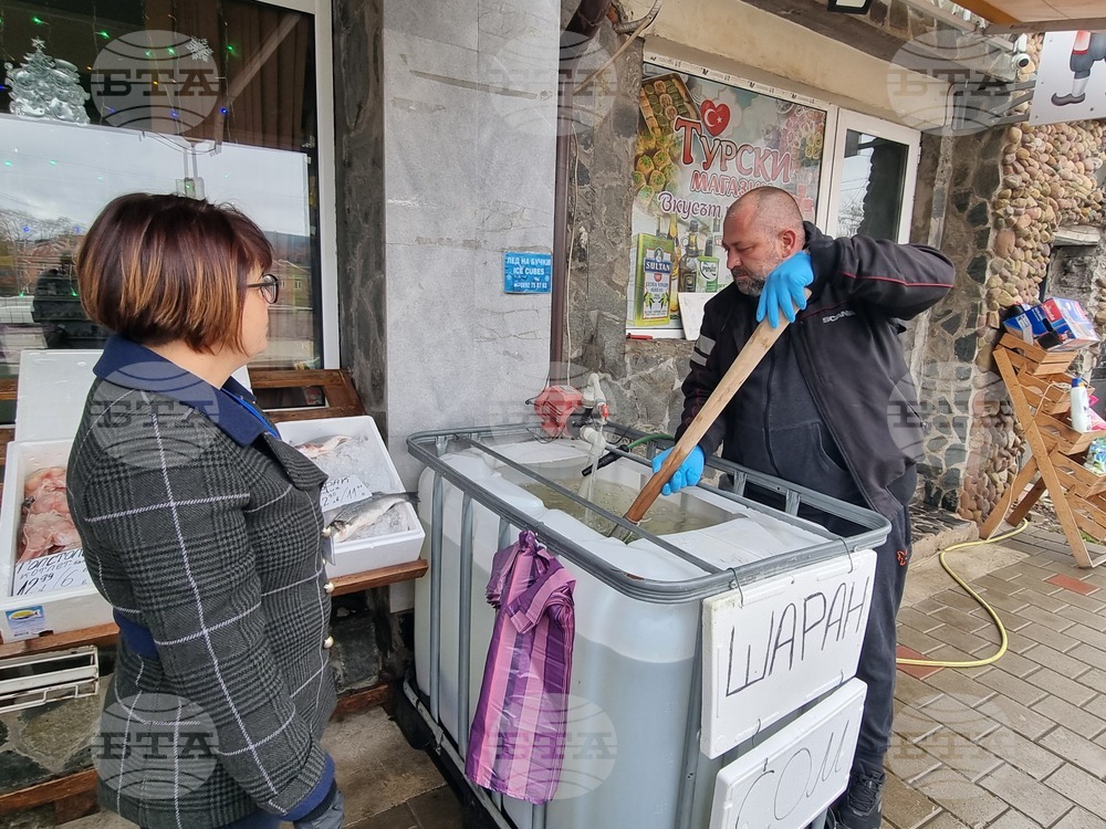 Перник - продажба на риба - проверки