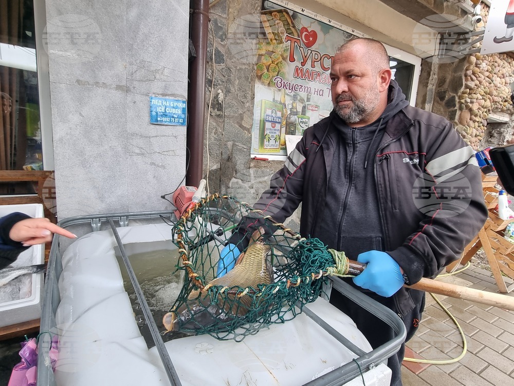 Перник - продажба на риба - проверки