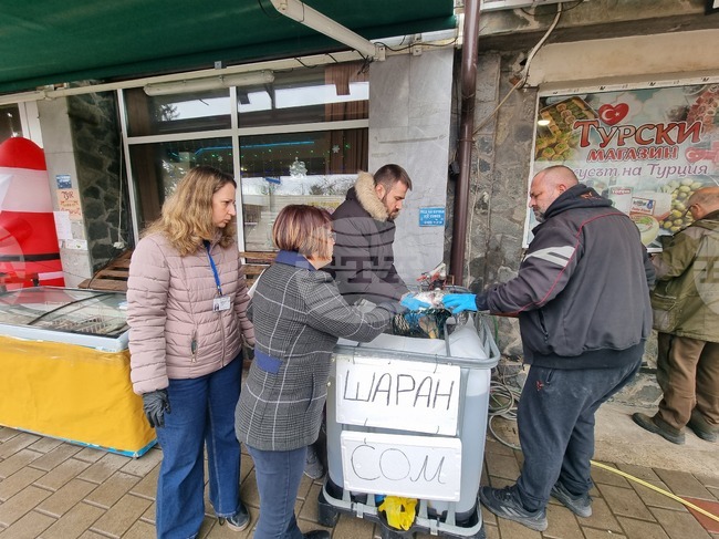 Перник - продажба на риба - проверки