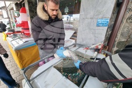 Перник - продажба на риба - проверки