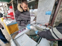 Перник - продажба на риба - проверки