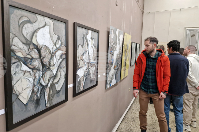 Велико Търново - „Линеарни откровения“ - изложба