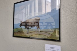 Велико Търново - Николай Колев - фотоизложба