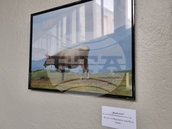 Велико Търново - Николай Колев - фотоизложба