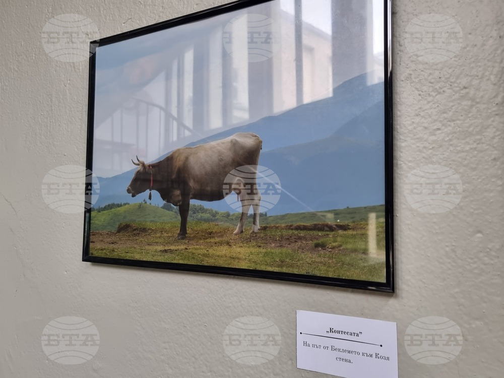 Велико Търново - Николай Колев - фотоизложба