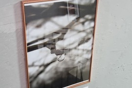 Велико Търново - Николай Колев - фотоизложба