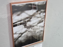 Велико Търново - Николай Колев - фотоизложба