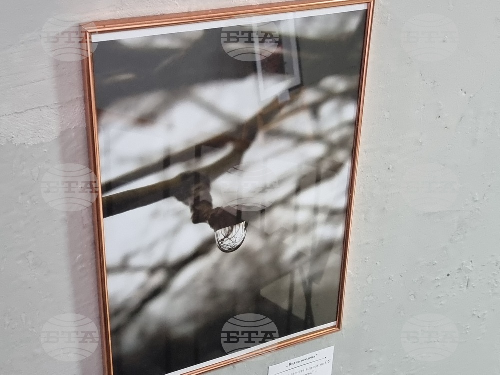 Велико Търново - Николай Колев - фотоизложба