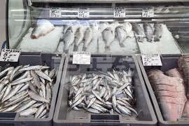 Варна - Никулден - пазар - риба