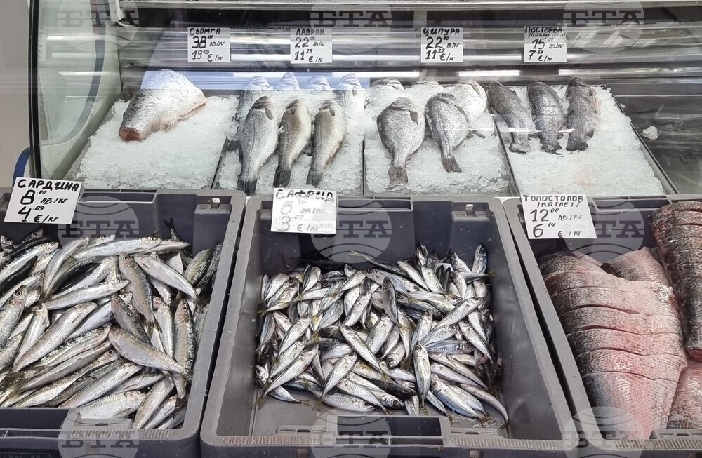 Варна - Никулден - пазар - риба