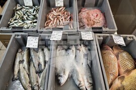 Варна - Никулден - пазар - риба