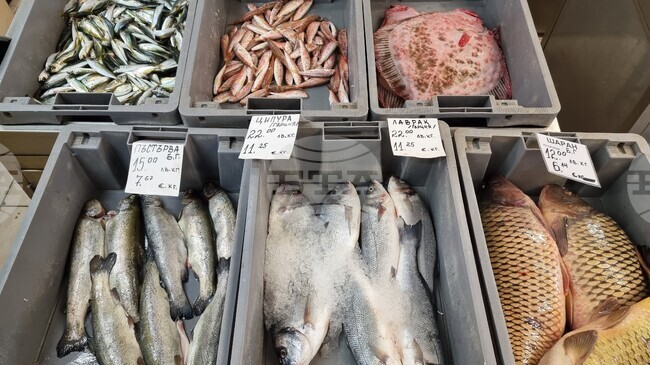 Разнообразие от морска риба се предлага във Варна за Никулден