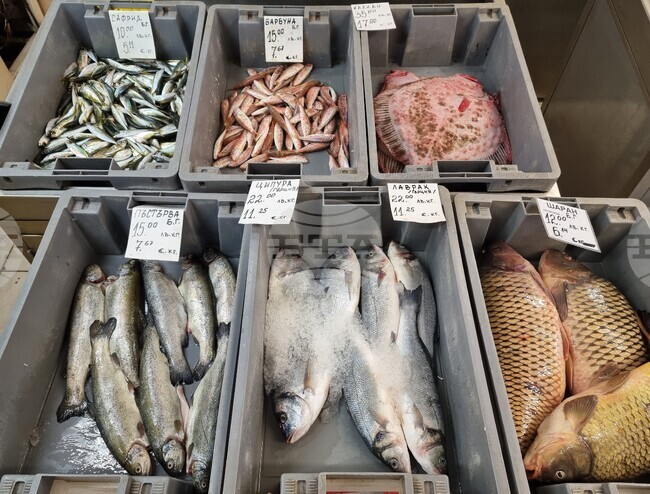 Разнообразие от морска риба се предлага във Варна за Никулден