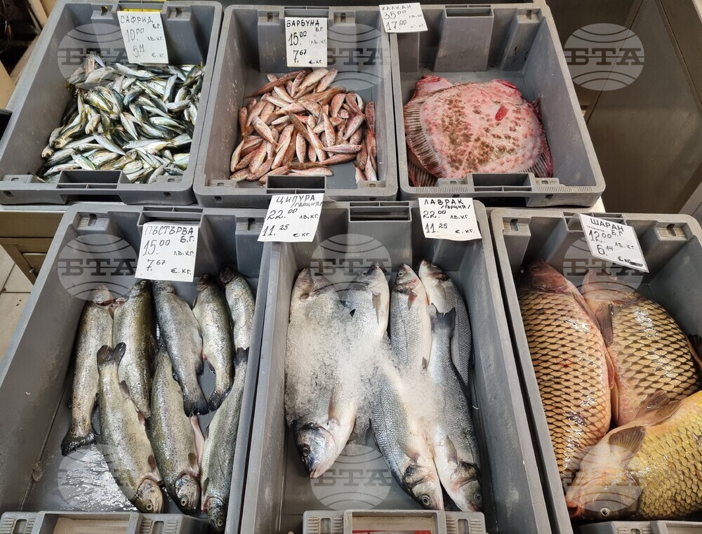 Варна - Никулден - пазар - риба