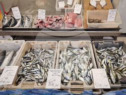 Варна - Никулден - пазар - риба