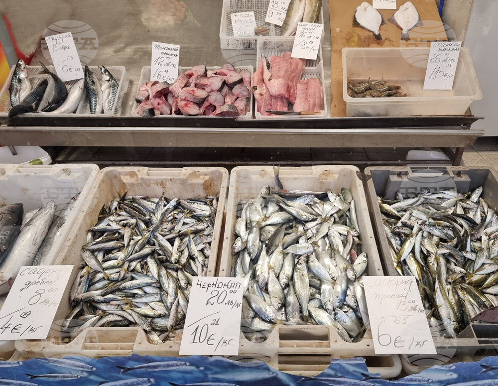 Варна - Никулден - пазар - риба