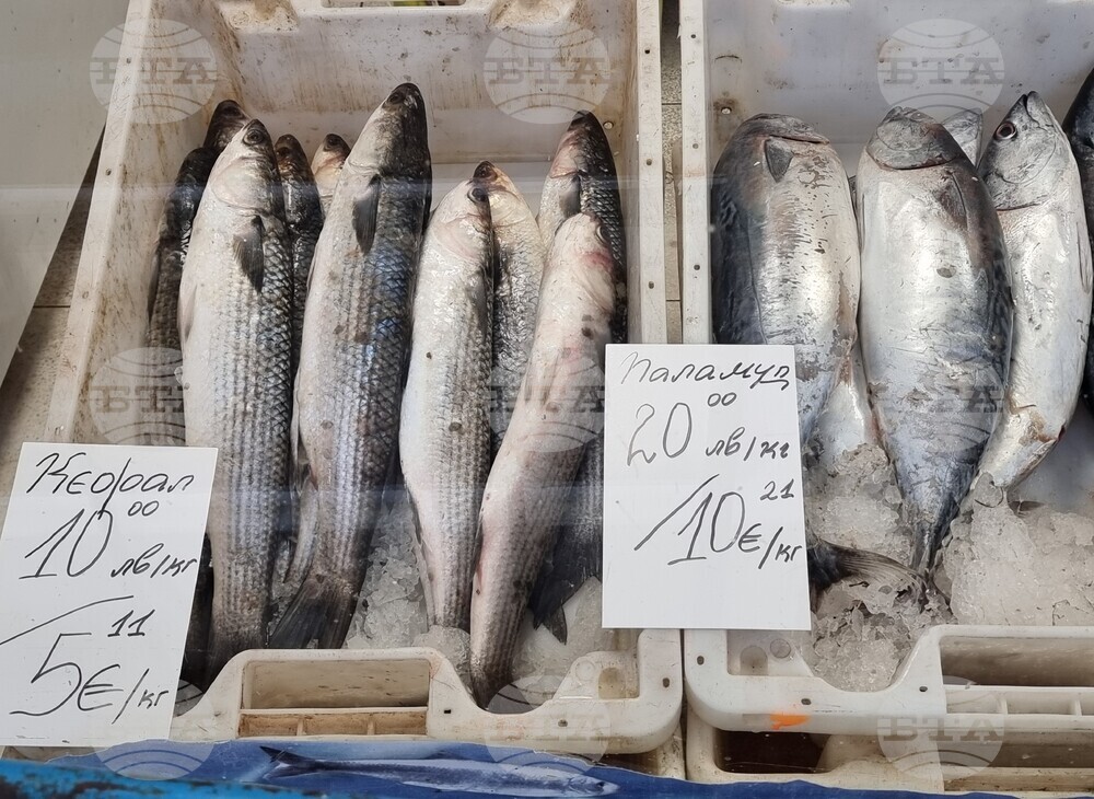 Варна - Никулден - пазар - риба